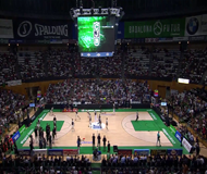 Efectos Visuales Palacio Deportes